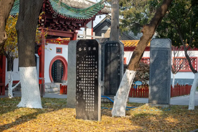 山东千优母婴用品纸尿裤与湿巾产品线对比及适用场景解析