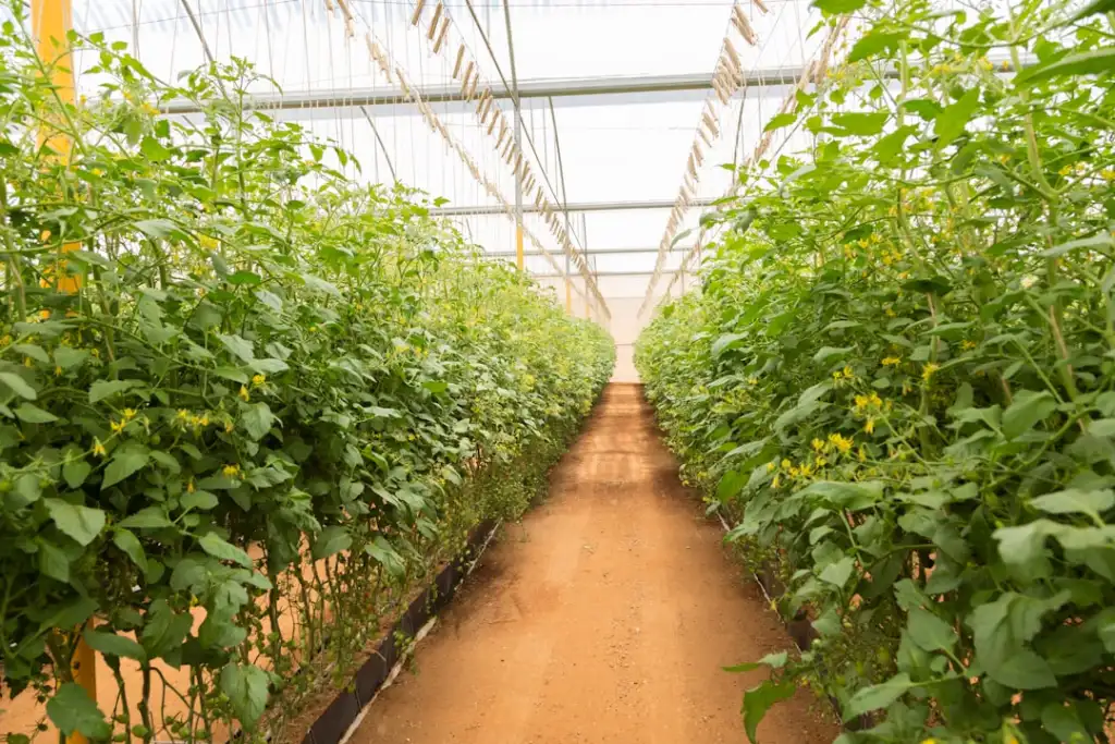 山东千优电子商务：新手父母如何科学选购婴儿纸尿裤与湿巾