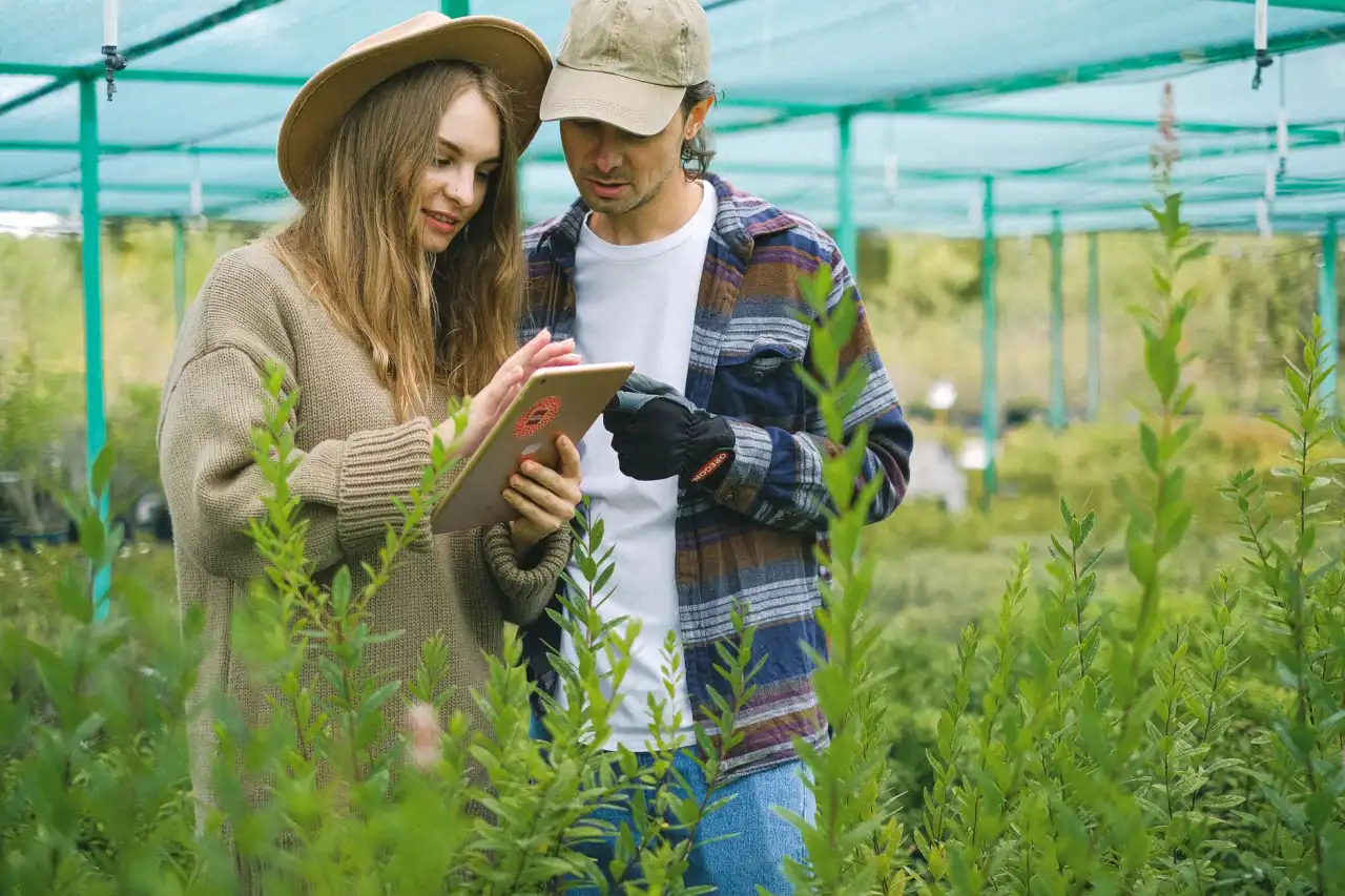 2025年婴儿纸尿裤生产工艺升级对吸水性能的影响分析